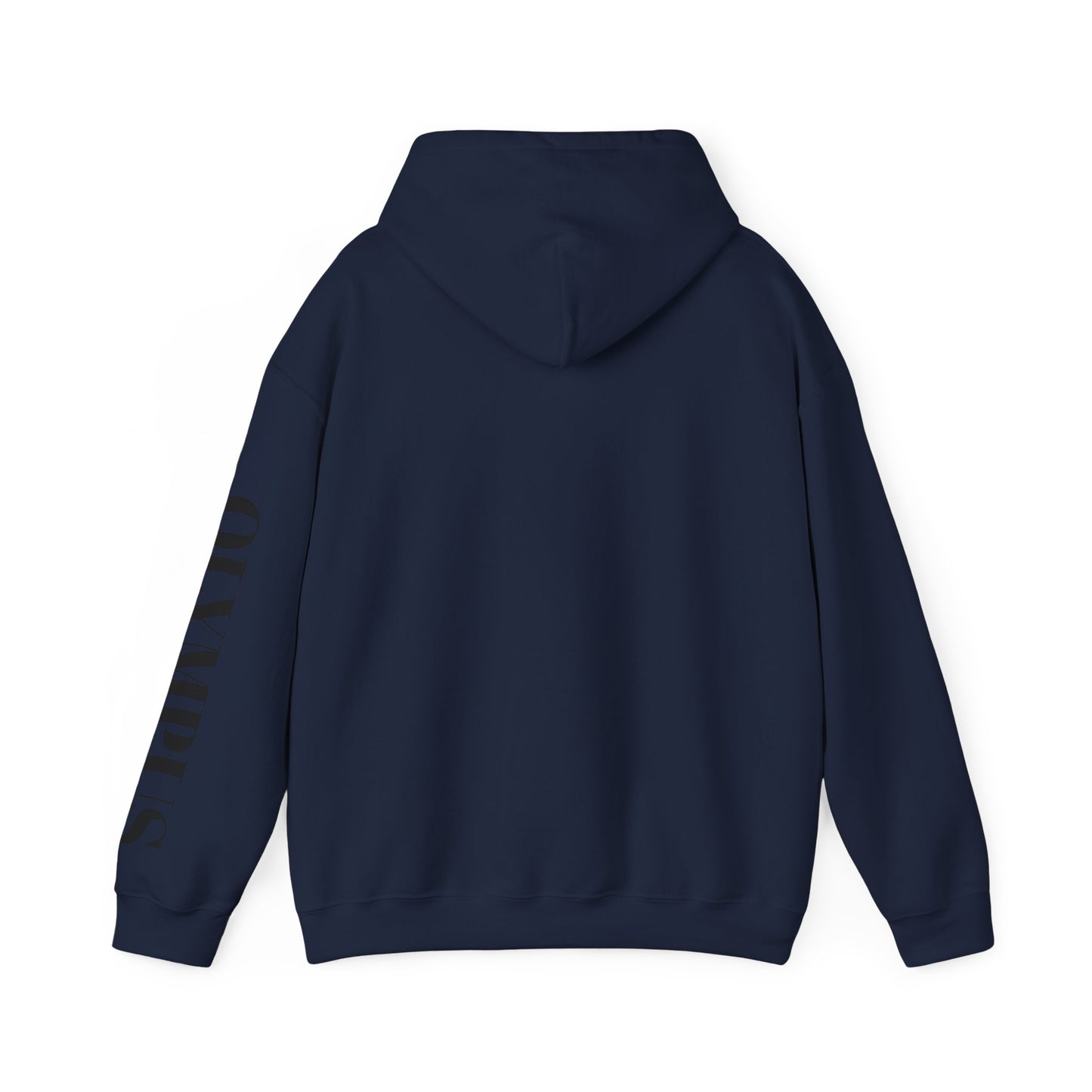 Olympus Original Winter Hoodie – Timeless. Cozy. Streetwear.