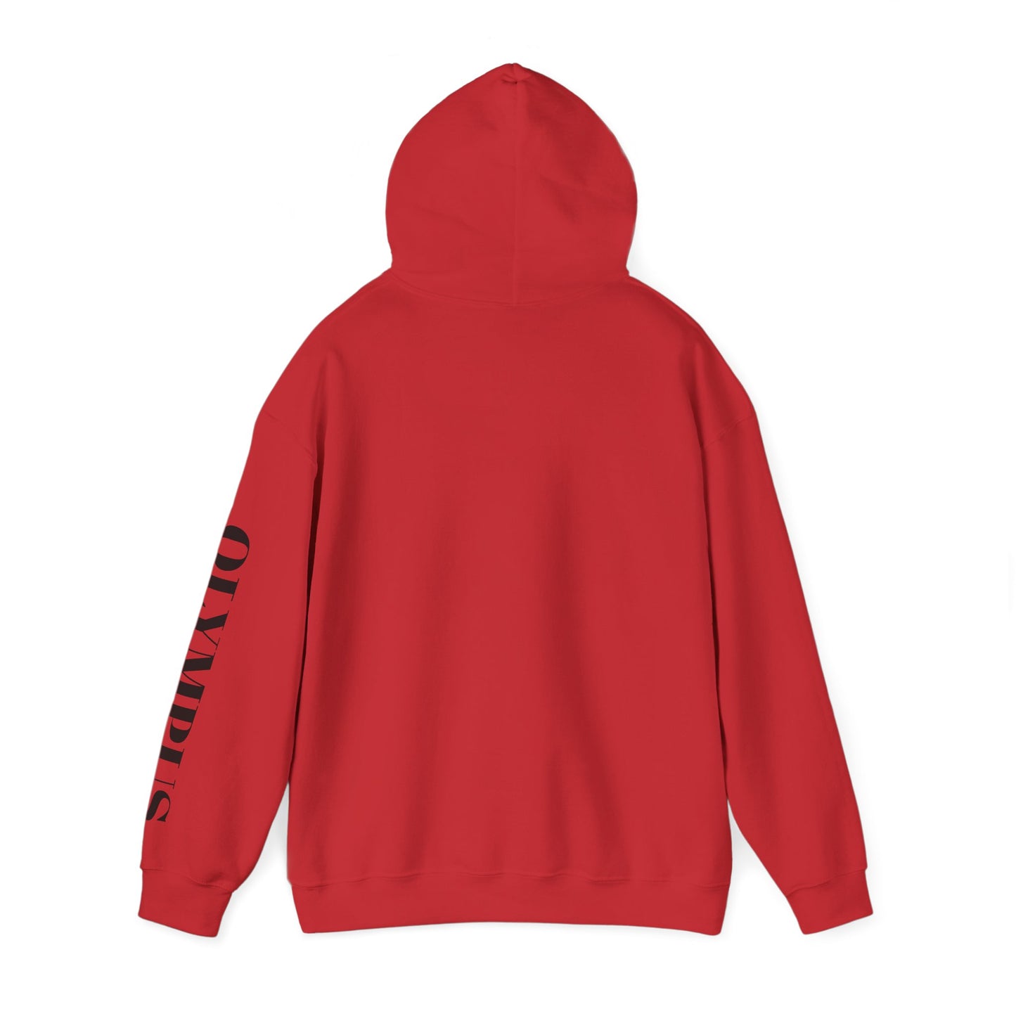 Olympus Original Winter Hoodie – Timeless. Cozy. Streetwear.