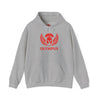 Gray hoodie with red 'Olympus' logo on a white background