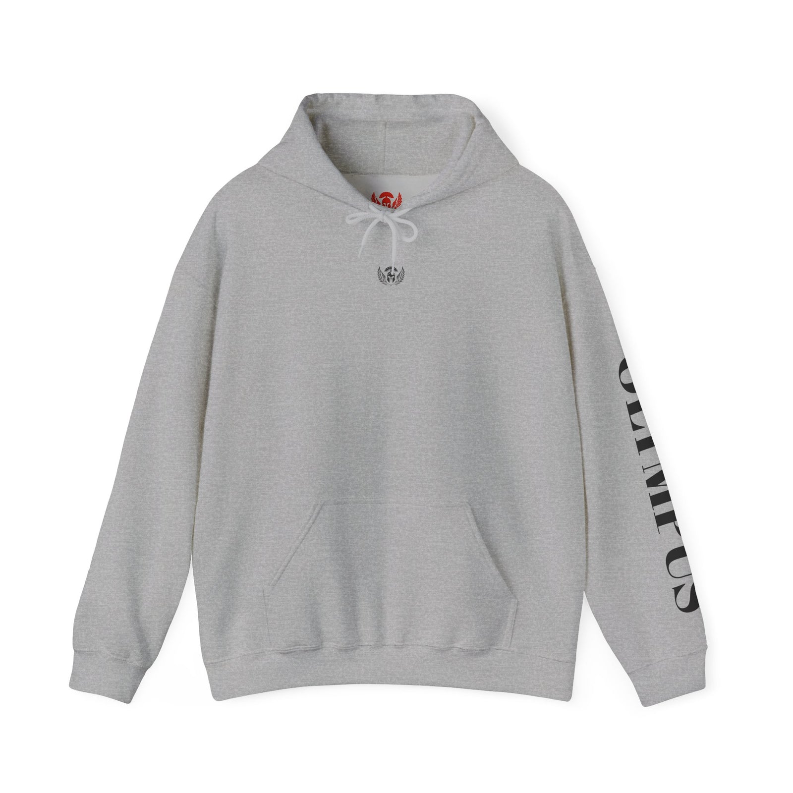 Gray hoodie with a logo on the chest and text on the sleeve against a white background