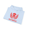 Light blue hoodie with red Olympus logo on a white background
