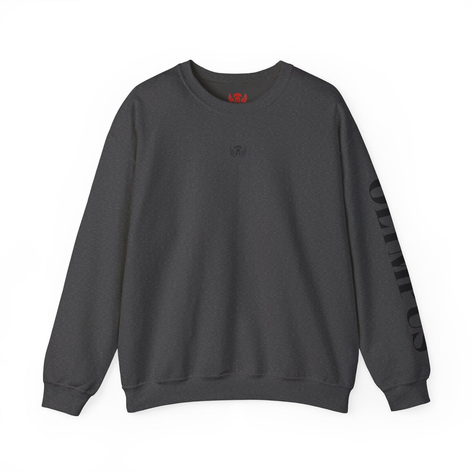 Dark gray sweatshirt with branding on a white background
