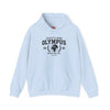 Light blue hoodie with 'Olympus' text and graphics on a white background
