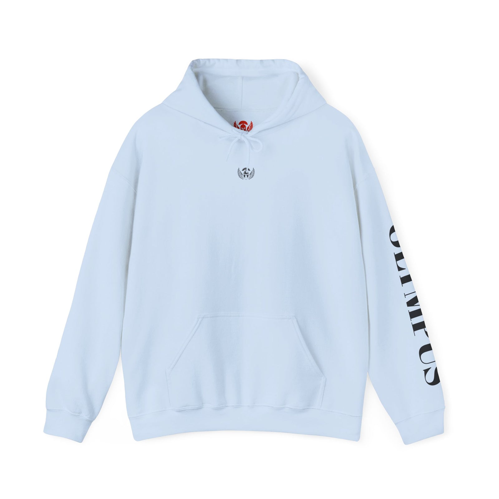 Light blue hoodie with a logo on the chest and text on the sleeve against a white background
