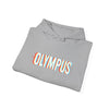 Olympus Retro Shadow Hoodie – Vintage Fade Logo, Unisex Streetwear - unisex hoodie, Unisex Crewneck Sweatshirt, Baseball Caps, Unisex Oversized Tee, Gym Towel, Oversized T-Shirt, Weightlifting Grip Pads, Weighted Vest, Lumbar Belt -  Olympus