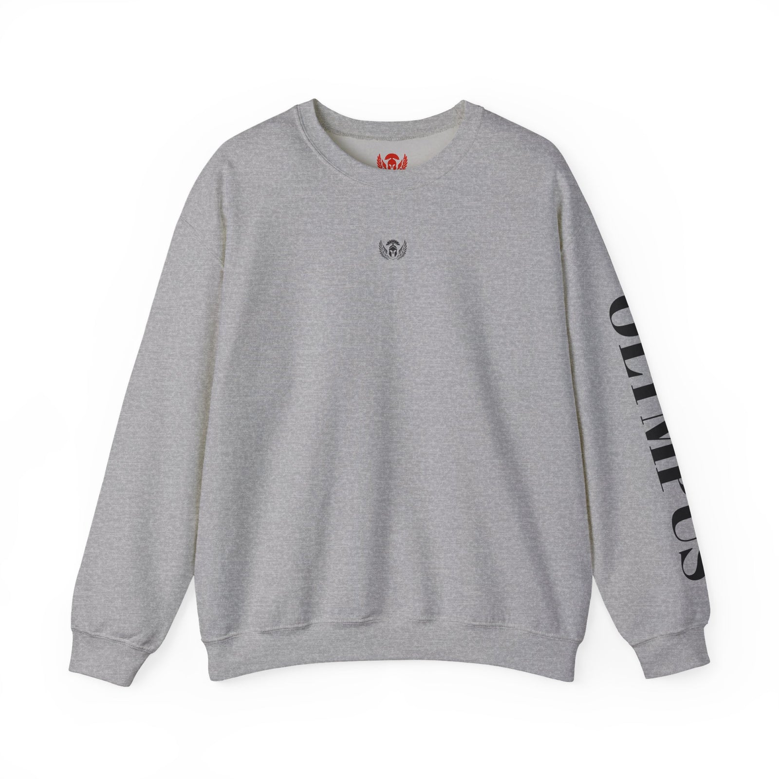 Gray sweatshirt with a small logo on the chest and text on the sleeve against a white background