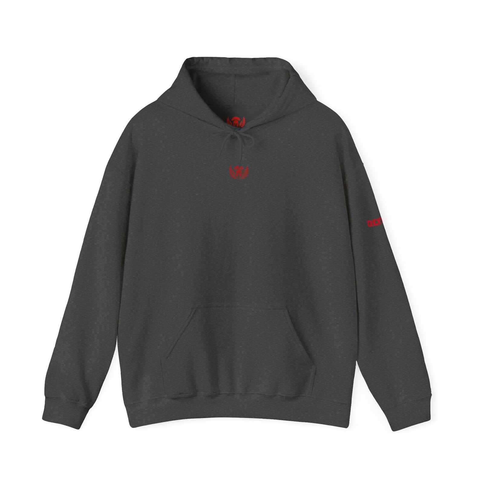 Gray hoodie with a red logo on a white background