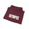 Olympus Retro Shadow Hoodie – Vintage Fade Logo, Unisex Streetwear - unisex hoodie, Unisex Crewneck Sweatshirt, Baseball Caps, Unisex Oversized Tee, Gym Towel, Oversized T-Shirt, Weightlifting Grip Pads, Weighted Vest, Lumbar Belt -  Olympus