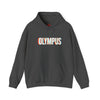 Olympus Retro Shadow Hoodie – Vintage Fade Logo, Unisex Streetwear - unisex hoodie, Unisex Crewneck Sweatshirt, Baseball Caps, Unisex Oversized Tee, Gym Towel, Oversized T-Shirt, Weightlifting Grip Pads, Weighted Vest, Lumbar Belt -  Olympus