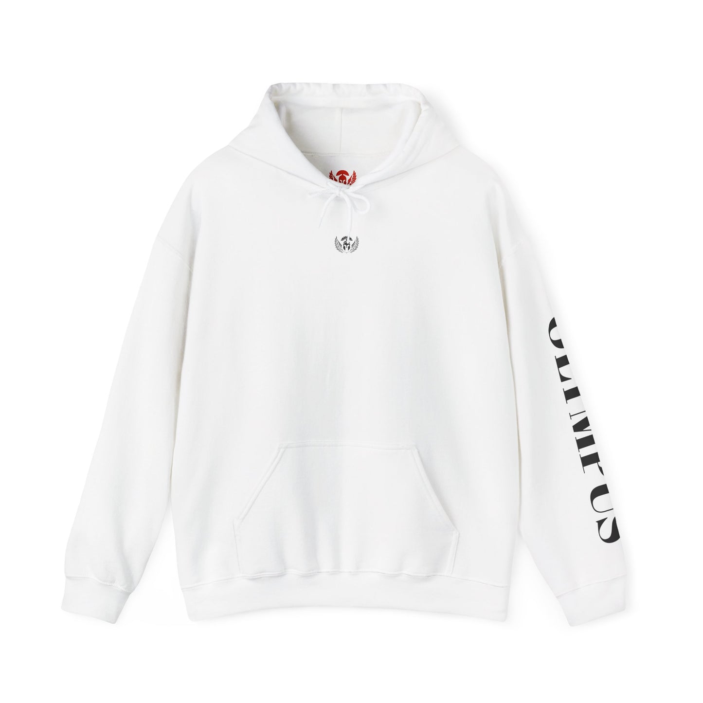 Olympus Original Winter Hoodie – Timeless. Cozy. Streetwear.