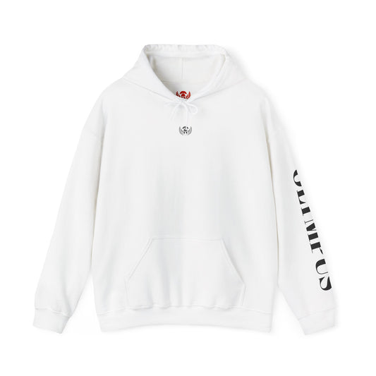 Olympus Original Winter Hoodie – Timeless. Cozy. Streetwear.