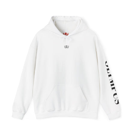 White hoodie with branding on a white background
