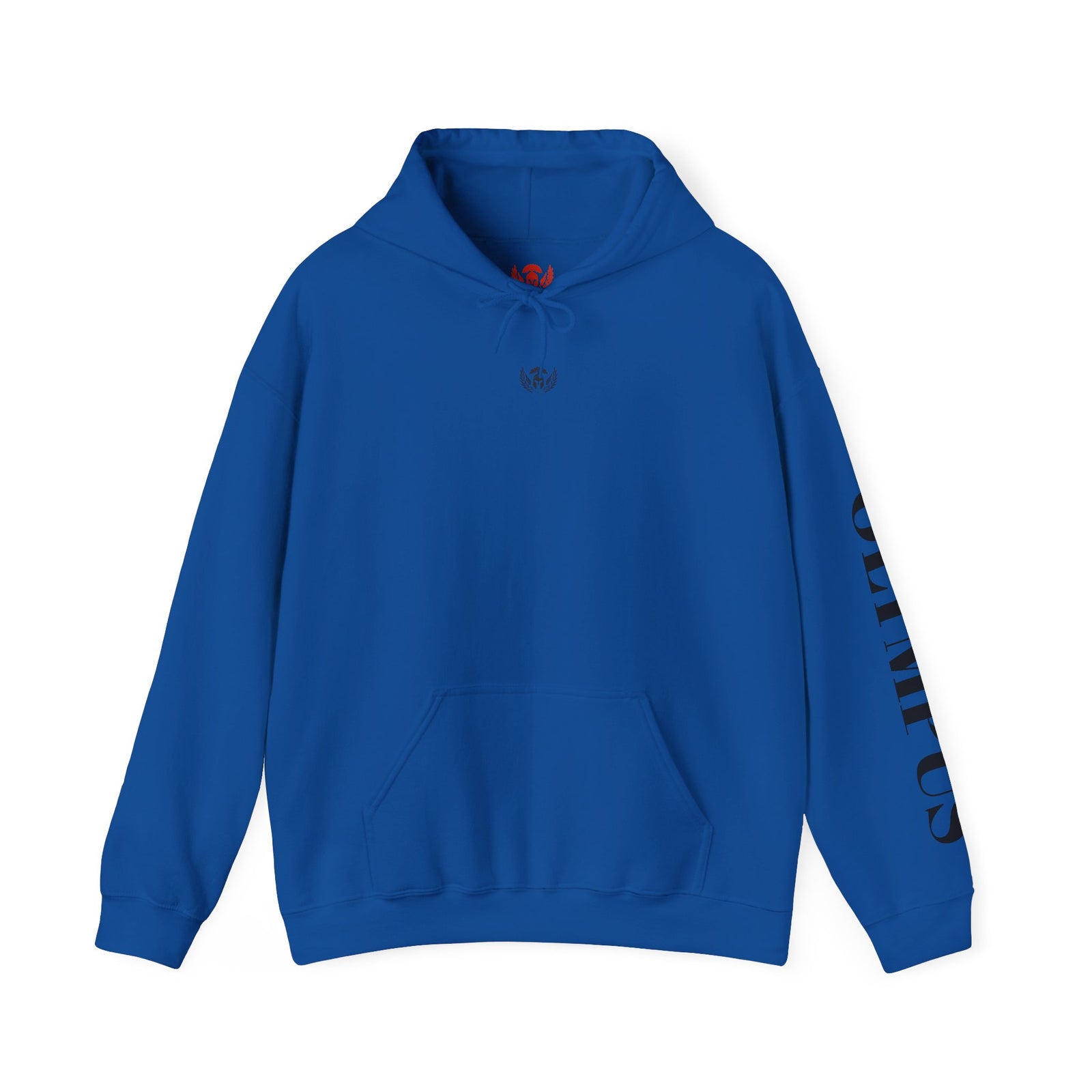 Blue hoodie with branding on sleeve against a white background