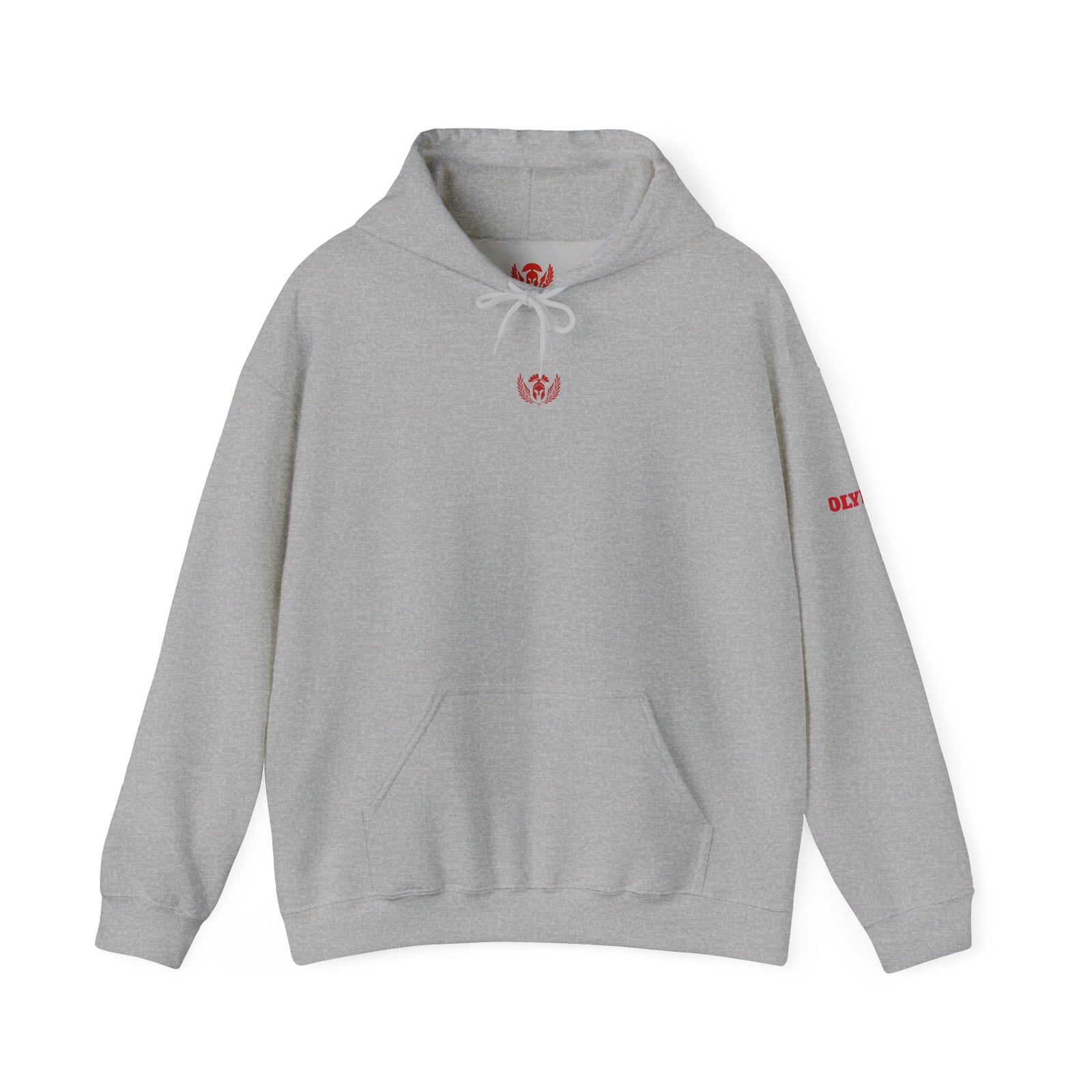Gray hoodie with red logo on a white background