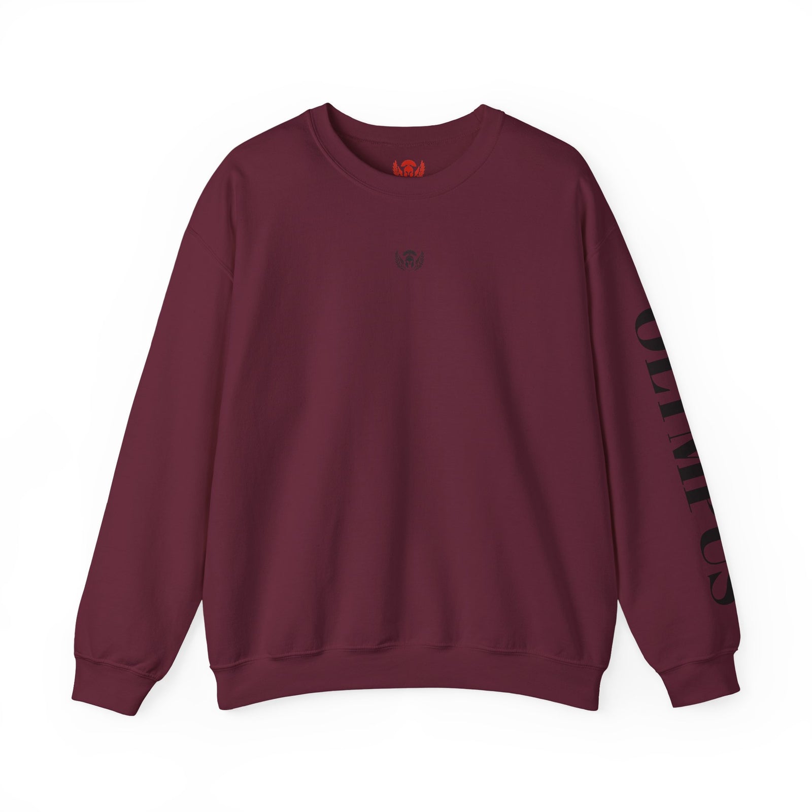 Maroon sweatshirt with black text on sleeve against a white background