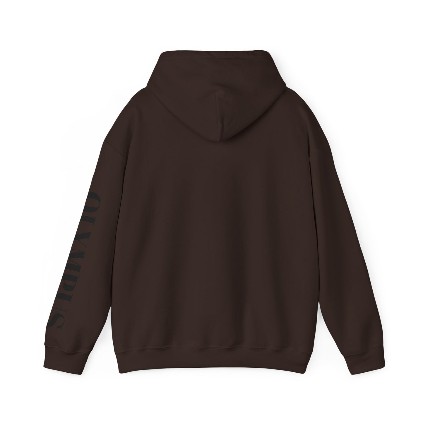 Olympus Original Winter Hoodie – Timeless. Cozy. Streetwear.