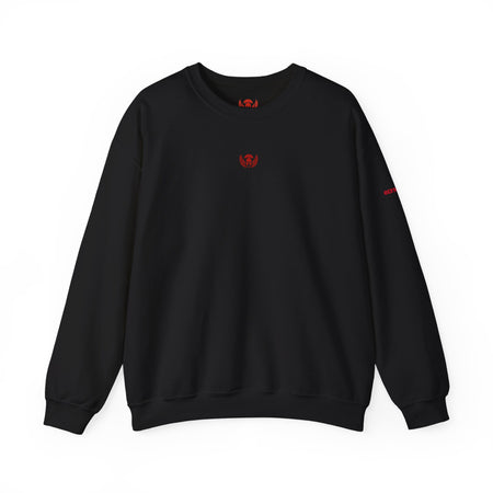 Black sweatshirt with a red logo on a white background