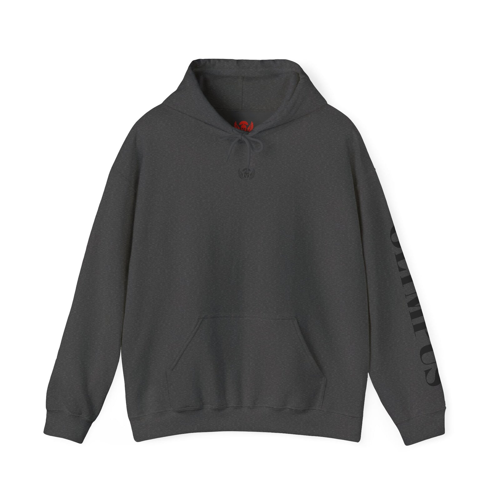 Gray hoodie with branding on sleeve against a white background
