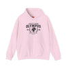 Pink hoodie with 'Olympus' text and graphics on a white background
